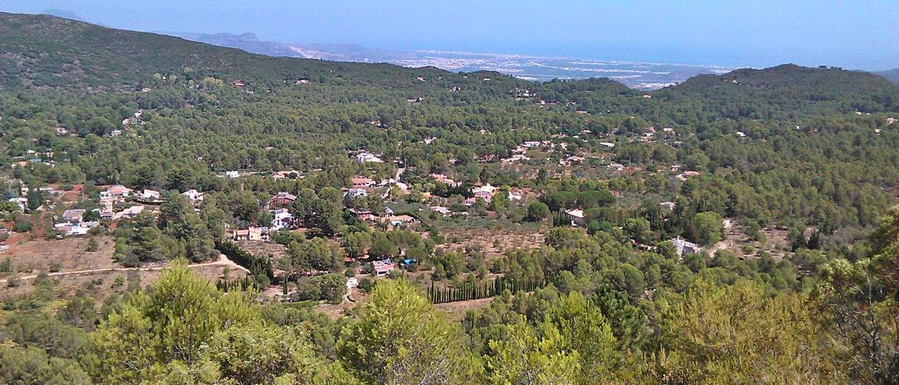 Partida de La Llacuna de Villalonga (La Safor), donde se ha detectado un almendro positivo. | LEVANTE-EMV