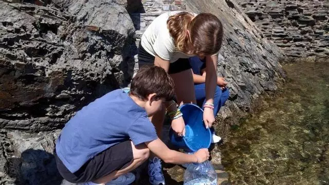 Vídeo: Alumnes de l'institut-escola de Cadaqués crien ous de tauró gat capturats accidentalment per pescadors