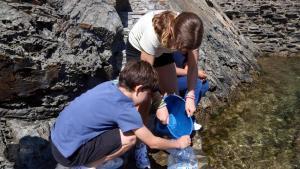 Els alumnes recollint aigua del mar per utilitzar als aquaris