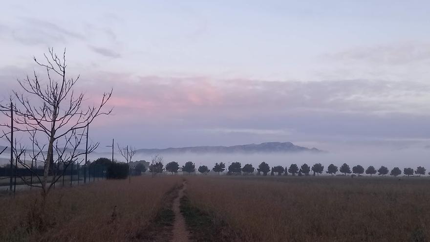 Kühle Nächte, aber tagsüber frühlingshaft - so wird das Mallorca-Wetter in der Woche vor Weihnachten