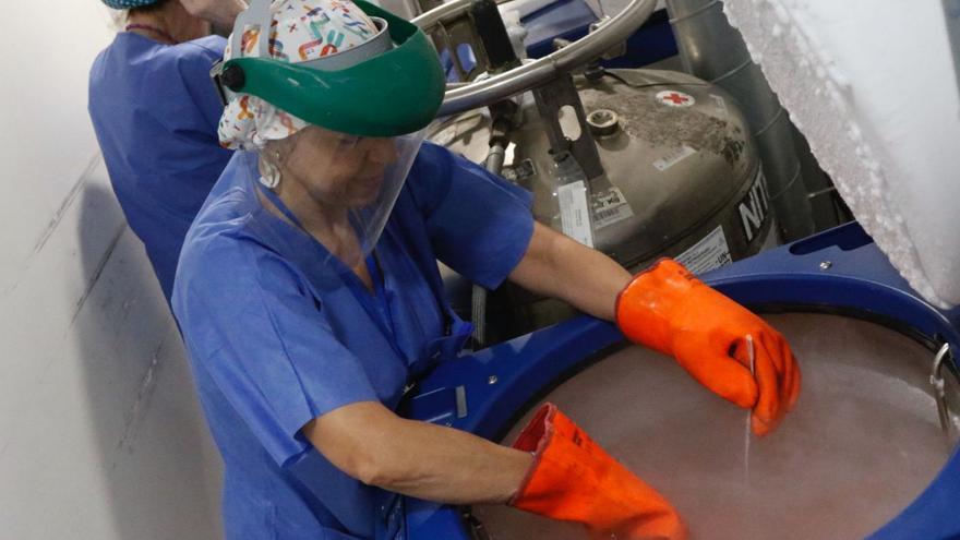 Profesionales del hospital Reina Sofía, con los tanques de nitrógeno donde se preservan los óvulos.