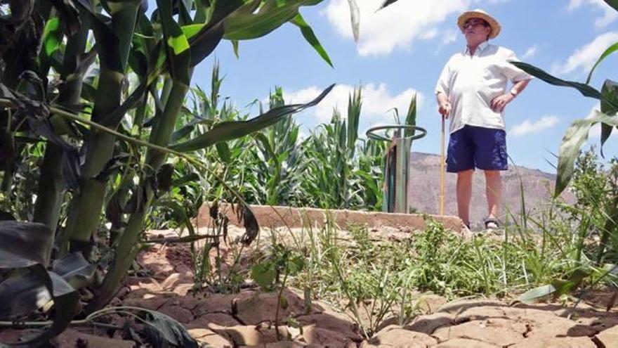 Tras un invierno excepcional en cuanto a lluvias, la primavera ha devuelto a la realidad a la provincia y sus necesidades de agua. En la imagen, un agricultor contempla su explotación.