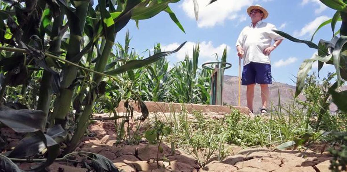 Tras un invierno excepcional en cuanto a lluvias, la primavera ha devuelto a la realidad a la provincia y sus necesidades de agua. En la imagen, un agricultor contempla su explotación.
