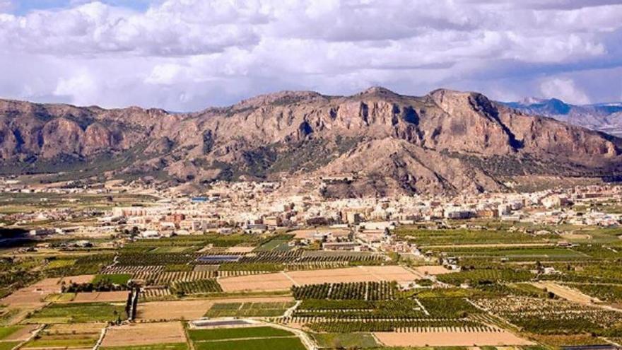 Un reto de 96 horas para documentar la biodiversidad de la Vega Baja