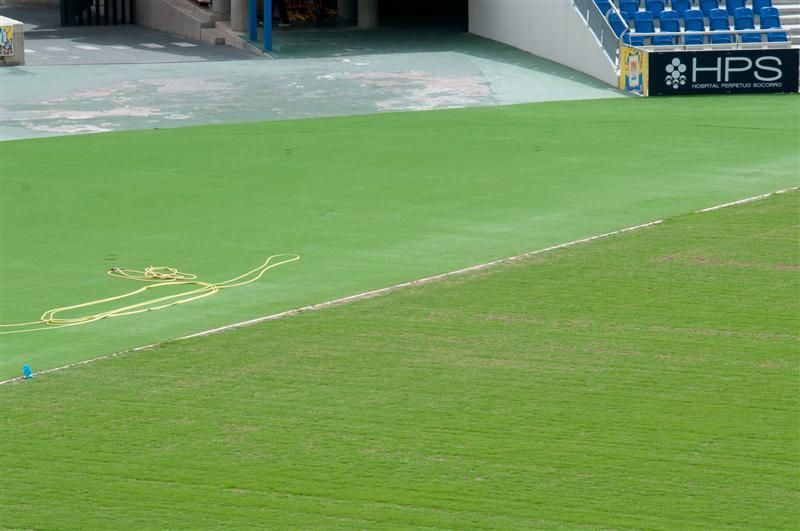 Presentación de las camisetas de la UD Las Palmas