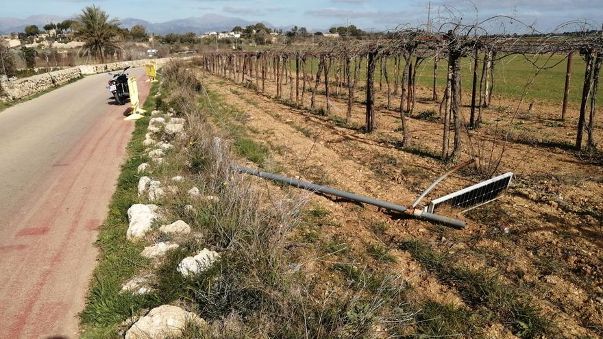 Detenido el ladrón que robó una excavadora y provocó grandes daños en Santa Eugènia