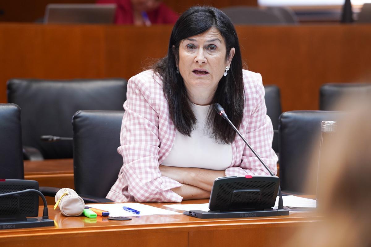 Isabel Lasobras, portavoz de CHA en Educación.