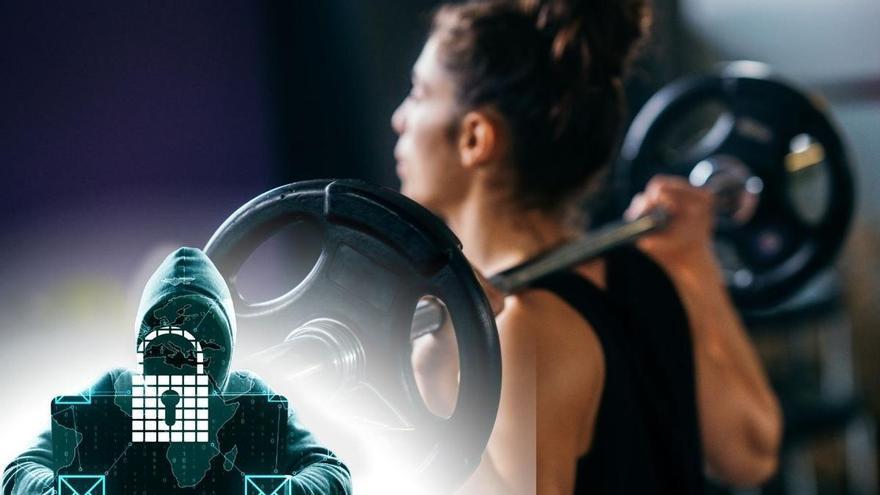 Ciberataque en estos gimnasios low-cost de Alicante: la OCU advierte a los usuarios sobre las posibles estafas