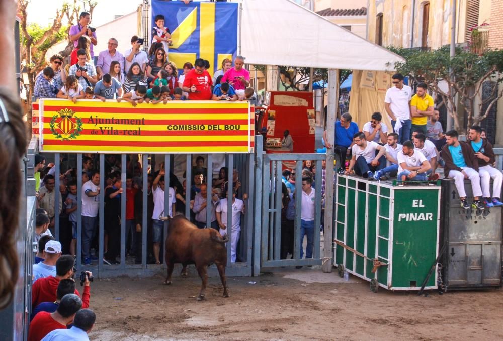 Festes de Sant Pasqual en Vila-real 2016