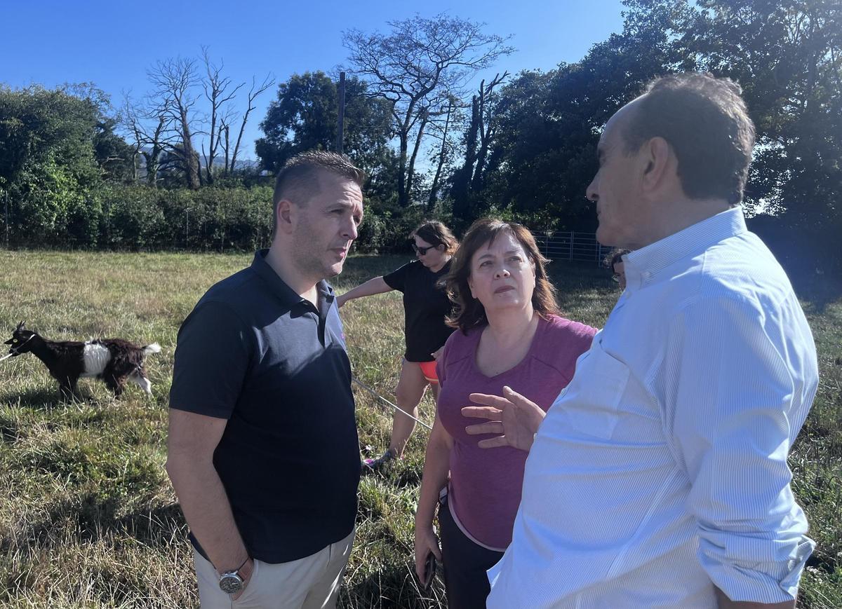 El concejal de Medio Rural y Ganadería, David Del Pozo, la concejala de Infancia, Susana García, y el director técnico del certamen, Eliseo López, en los preparativos del certamenen Llanera