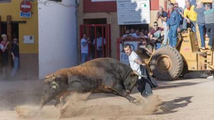 Los ganaderos de la provincia se agrupan en una nueva asociación