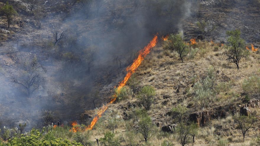 La empresa que originó el fuego de Ateca asegura que se contaba con todos los permisos