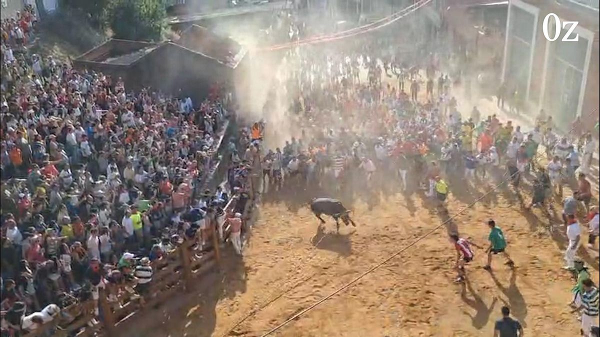Salida de Galocho, Toro Enmaromado de Benavente 2025