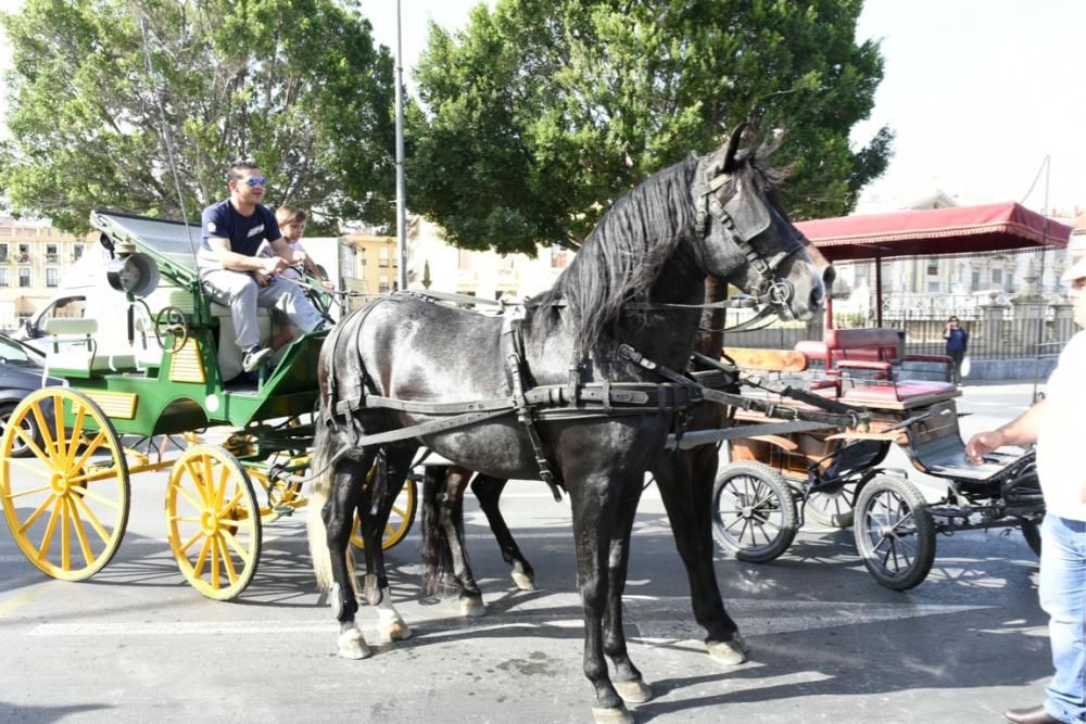 Ruta en carro al corazón de la Huerta