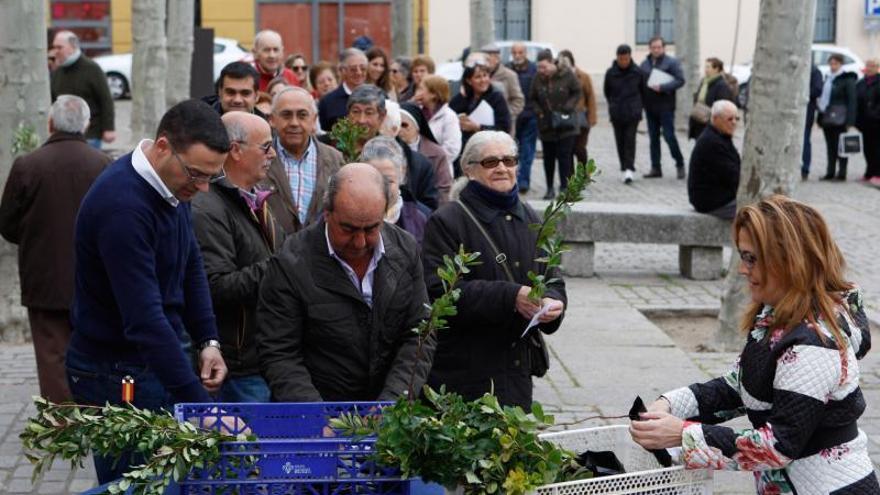 Reparto de plantas de la Diputación, en la Plaza de Viriato