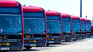Tussam presenta 11 autobuses para la línea de tranvibús a Sevilla Este