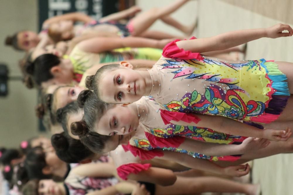 Las futuras "reinas" de la gimnasia asturiana