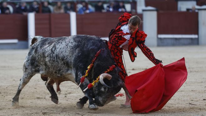 El Ministerio de Cultura elimina el Premio Nacional de Tauromaquia