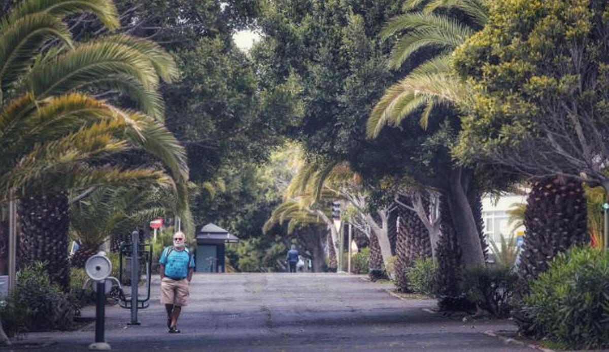 Paseo por Santa Cruz de Tenerife Paseo por Santa Cruz de Tenerife