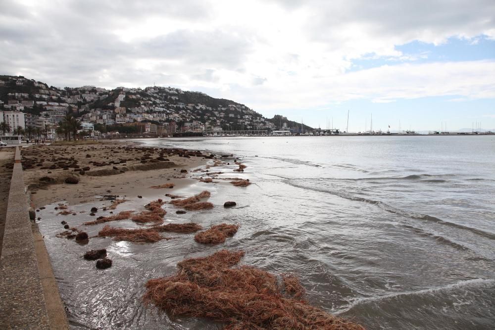 L'estat de les platges a Roses