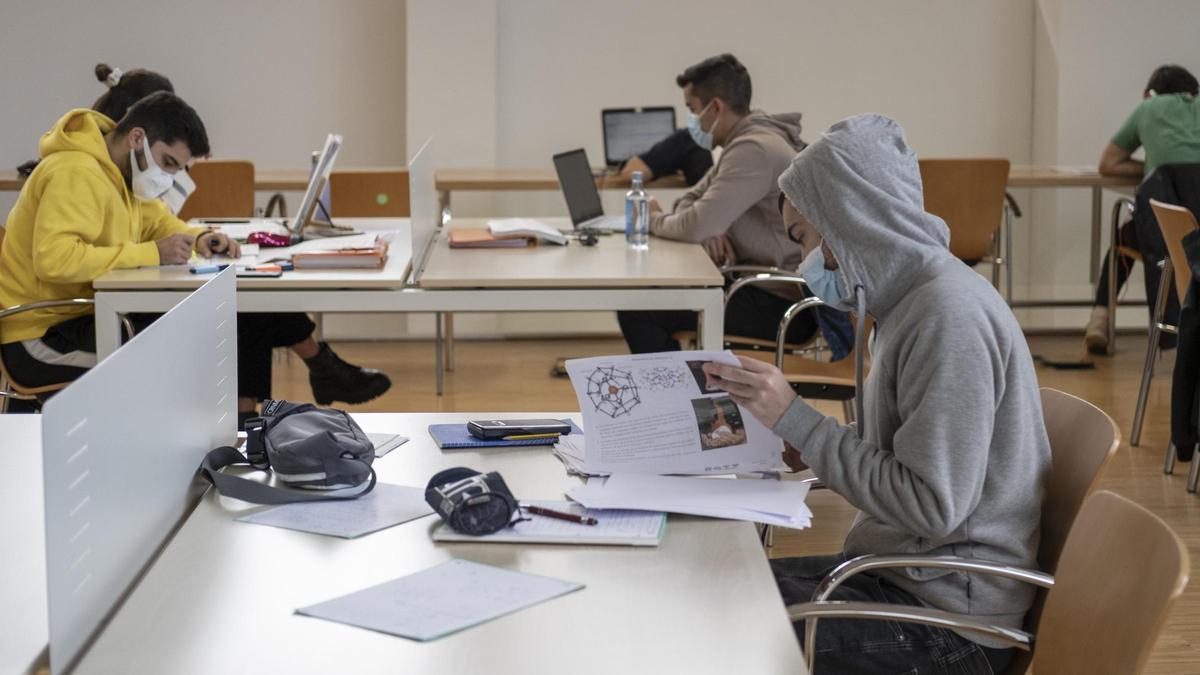 Varios jóvenes estudian en la biblioteca universitaria Rosalía de Castro.