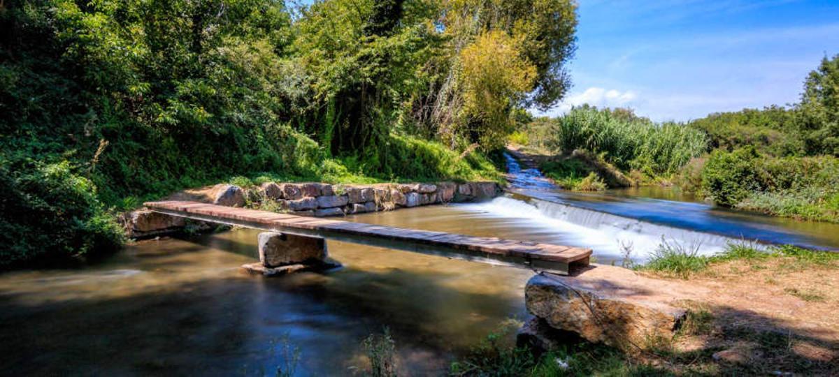 Chopera de Gotor sobre el río Aranda