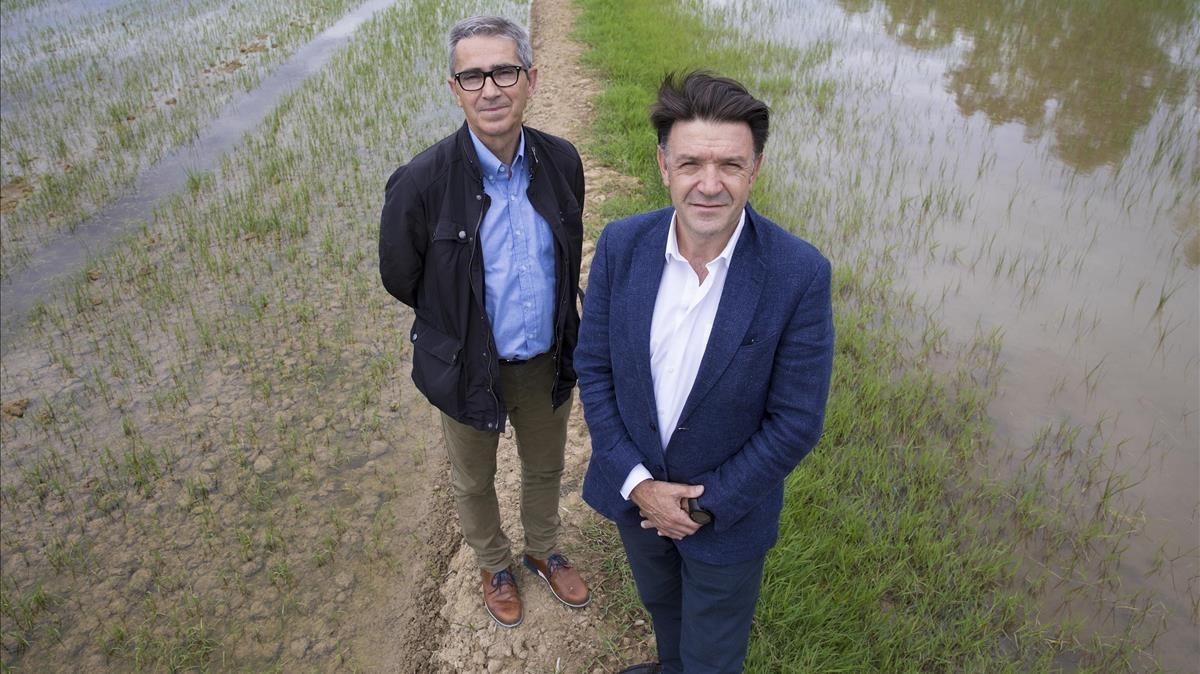 zentauroepp43728464 arrossaires del delta crea nomen foods para seguir creciendo180613103824 zentauroepp43728464 arrossaires del delta crea nomen foods para seguir creciendo180613103824