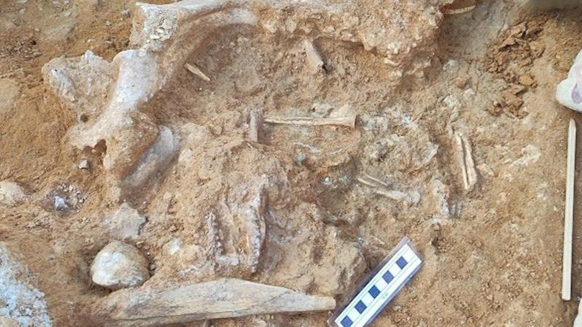 Parte de las excavaciones llevadas a cabo en La Puebla de Valverde.