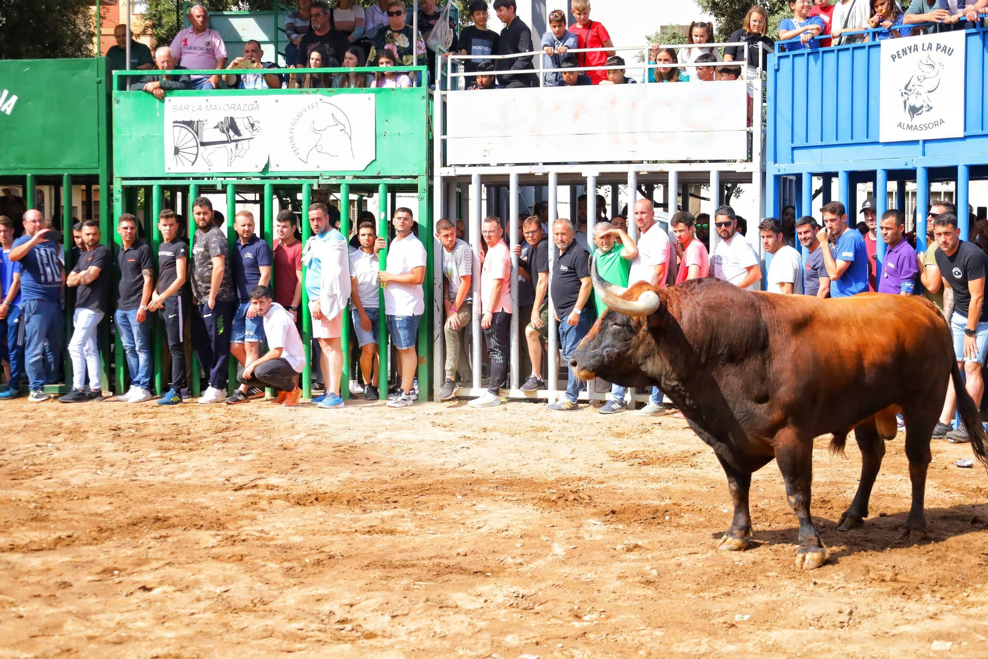 Búscate en la galería del segundo día de fiestas en Almassora