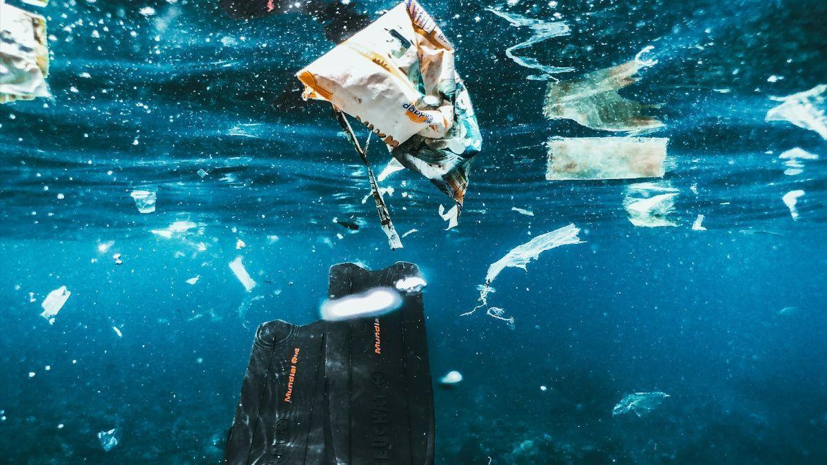 Photo: levante-emv.com Microscopic Robots Developed to Remove Microplastics from Water and Soil