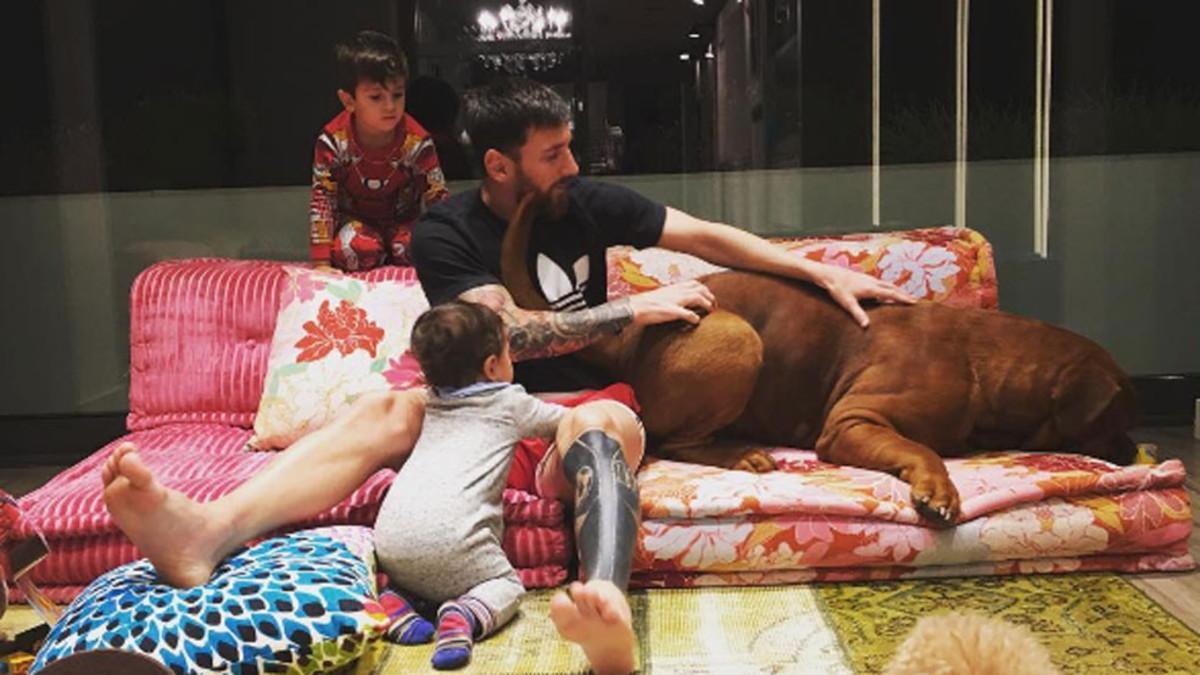 Hulk, el perro de Messi, ha provocado la reacción de los seguidores