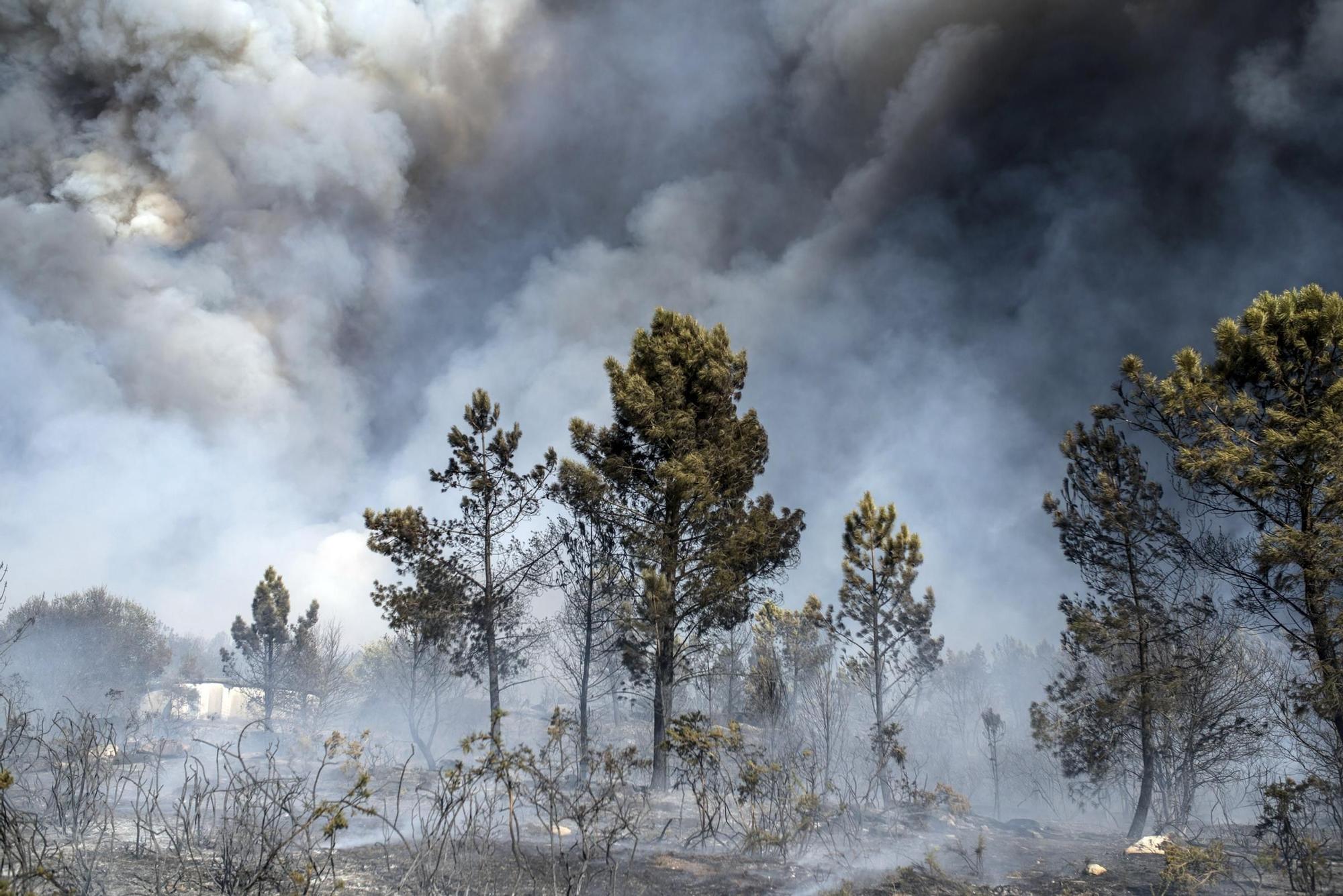 Incendio forestal en Ourense en 2017 Brais Lorenzo.jpg