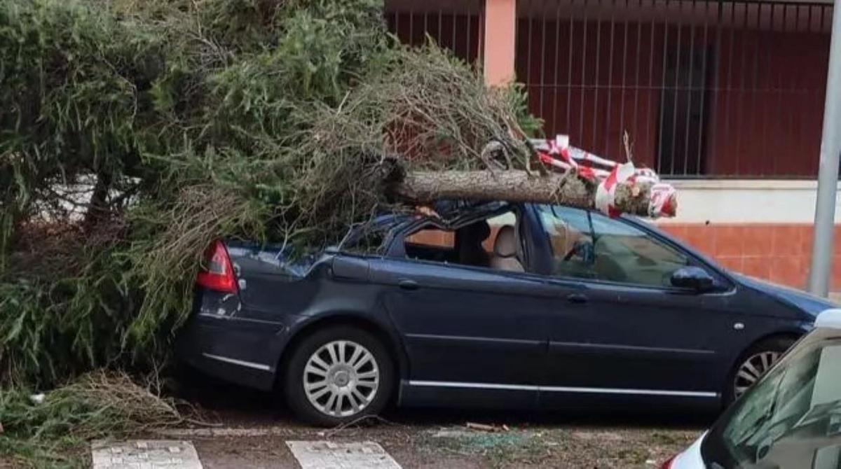 Daños causados por el vendaval.