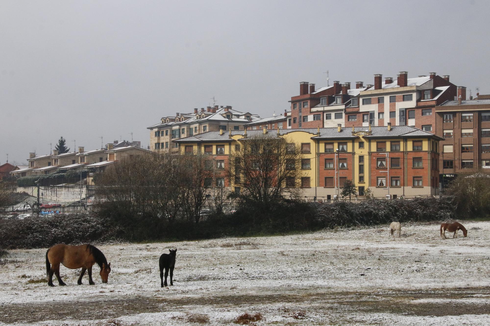 EN IMÁGENES: La borrasca Juliette lleva la nieve casi hasta la costa en Asturias