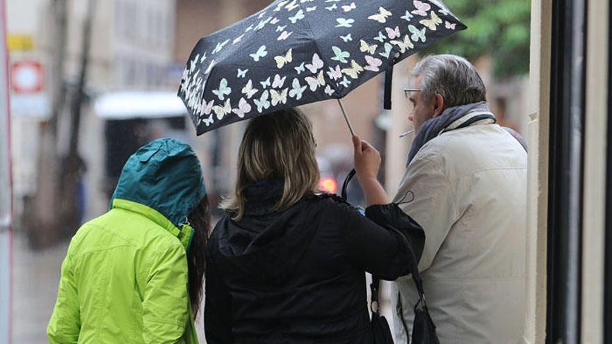 El temporal ha provocado decenas de incidencias en la provincia de Málaga.