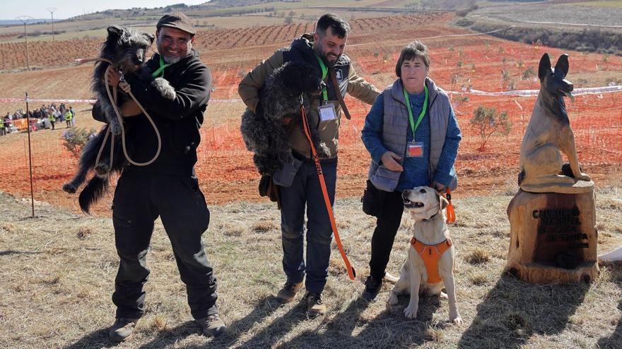 Raúl de la Morena, con Cueva; Héctor de Abril, con Paccun; y María del Carmen Sabirón y su perra Samba, los mejores cazadores de trufas. | GABI ORTE