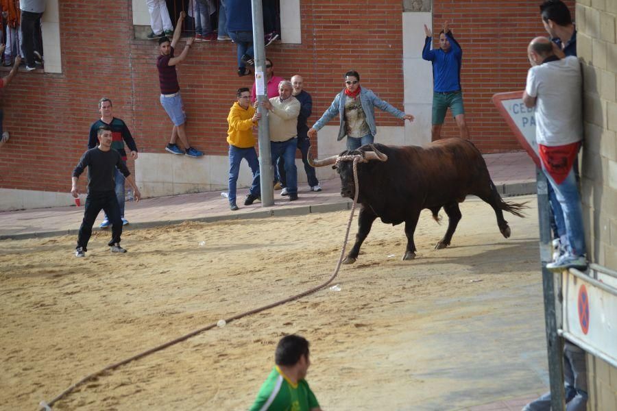 Enmaromado 2016: Así fue el Día Grande en Benavent