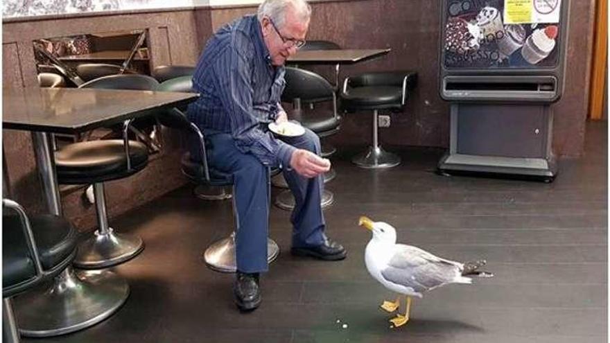 El hostelero Germán Pereiro con la gaviota que le visita desde hace años.