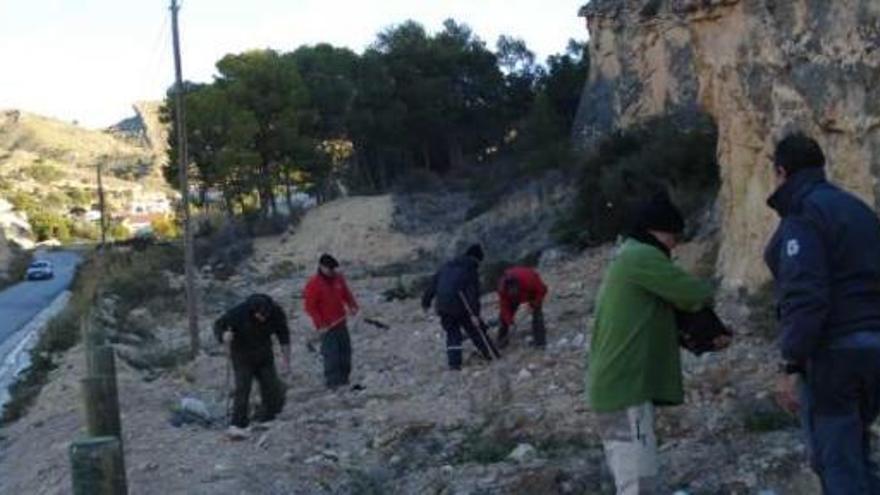 Miembros del Centro Excursionista de Crevillent durante la reforestación.