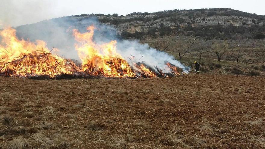 Crema de restes vegetals en un camp, foto d’arxiu.  | DEP. AGRICULTURA