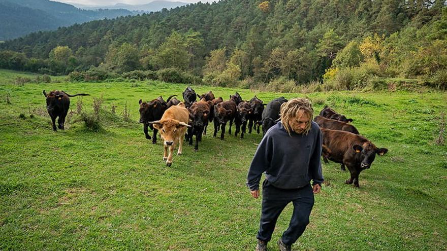 Ramat de la Casanova de Sora, ajudant a recuperar antigues pastures abandonades