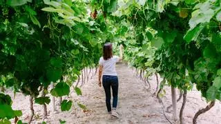 La mujer cultiva su presencia en el campo