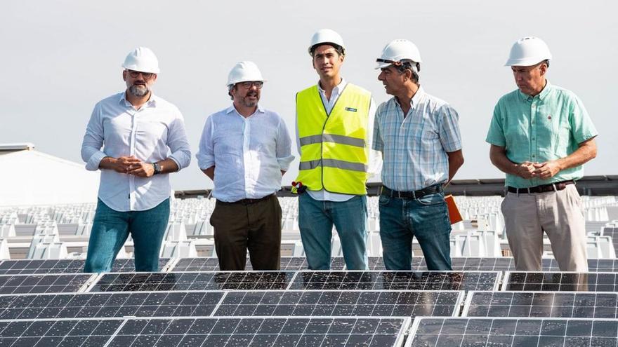 Las placas solares  abastecen el 55%  de la energía de la Ciudad Deportiva
