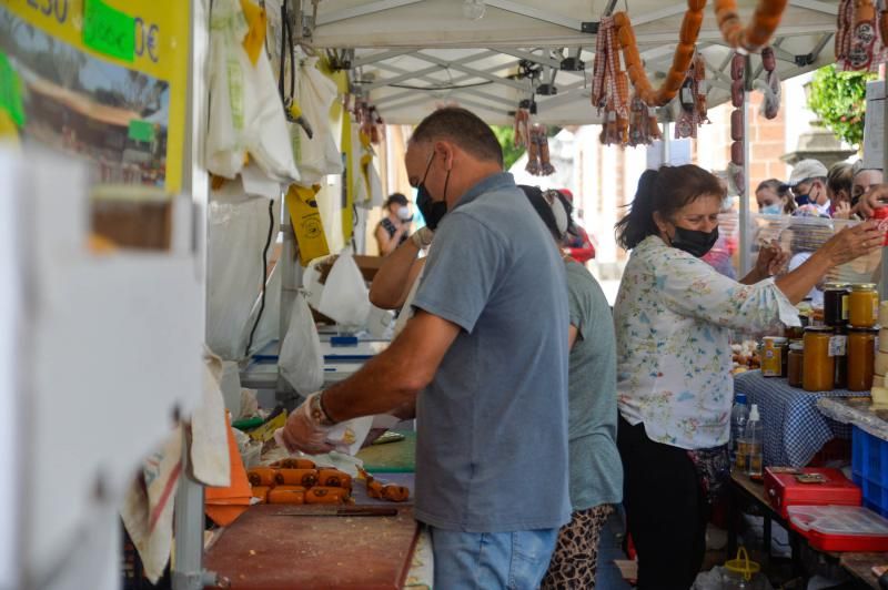 Dia del Pino: peregrinos llegando y visitando a Teror