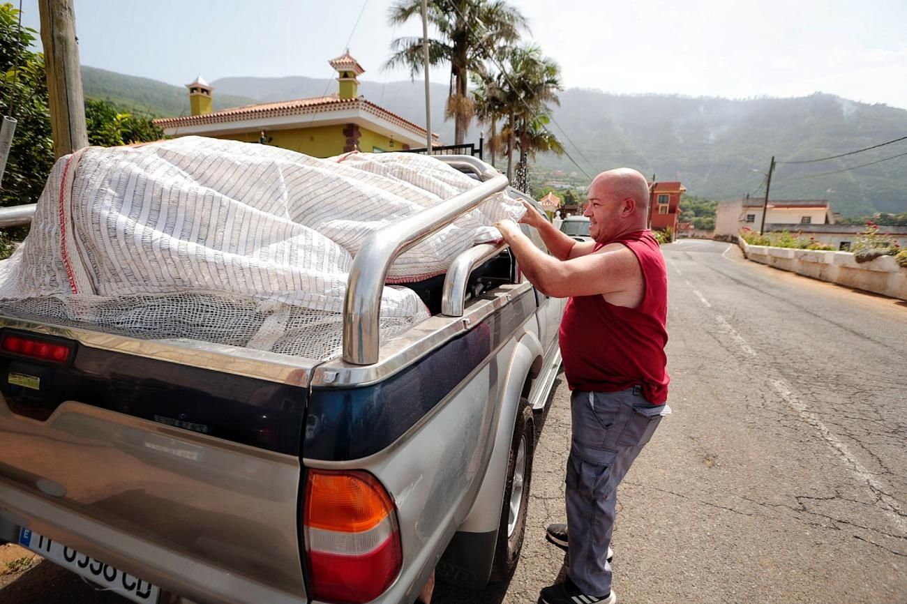 Incendio en Tenerife: Vecinos desalojados de Los Realejos y La Orotava podrán regresar a sus casas