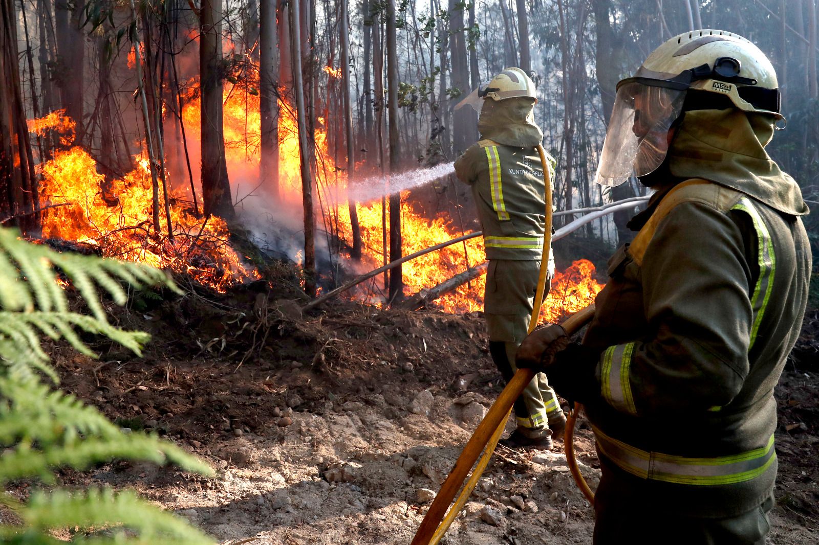 Arbo y Verín, en alerta por incendio