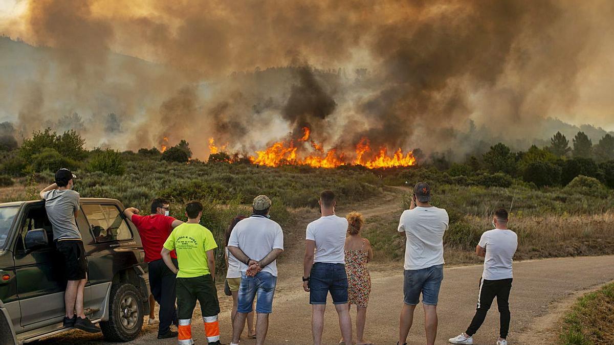 La columna de humo era perceptible desde diferentes puntos. |   // FDV