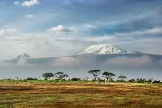 Así es viajar al santuario de rinocerontes más importante de África