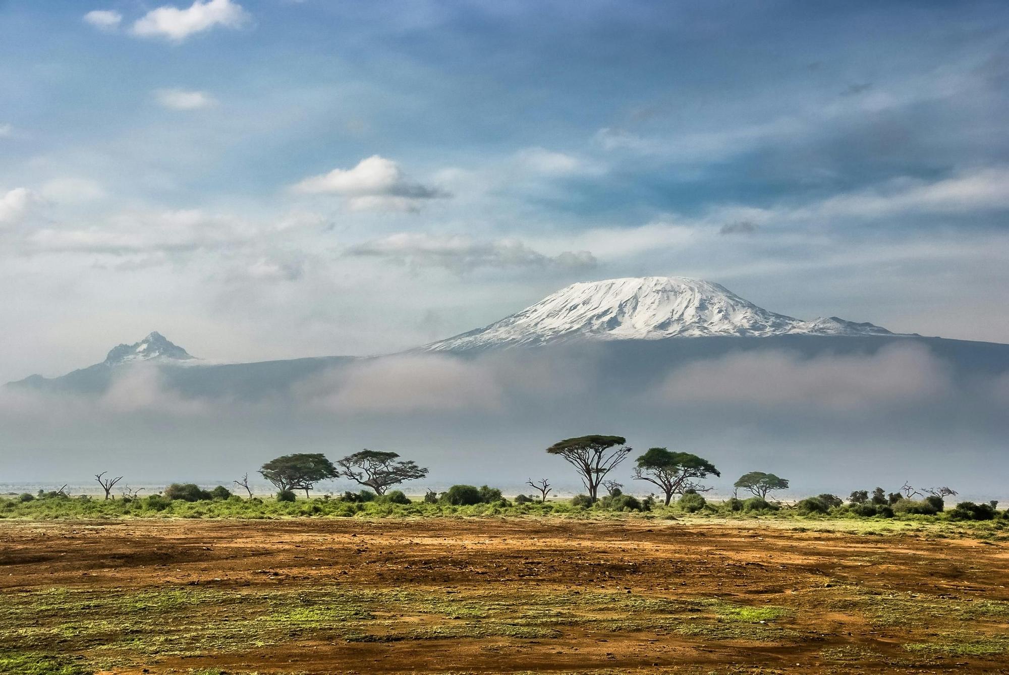 El santuario de rinocerontes más importante de África: el único lugar del mundo donde ver a los últimos ejemplares en libertad