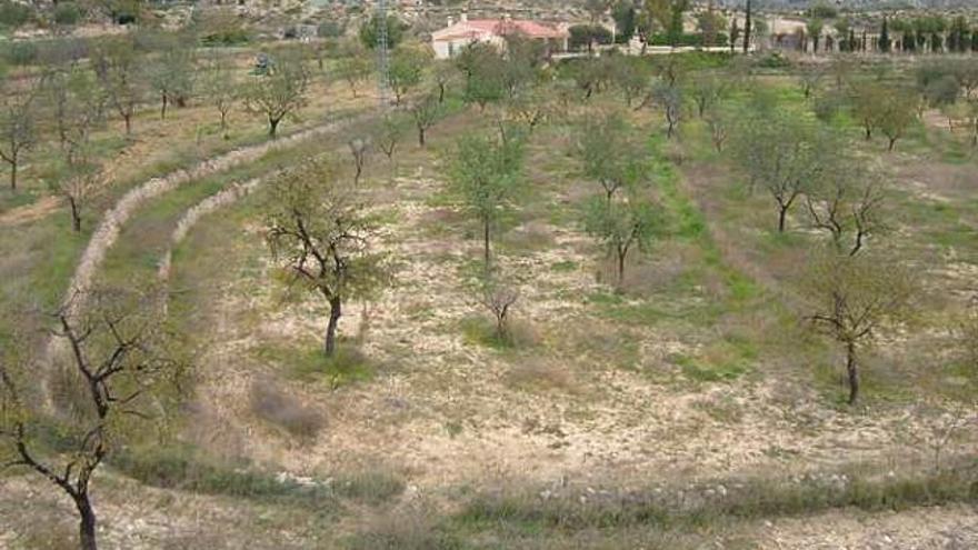 Terrenos en los que se va a ampliar el cementerio.